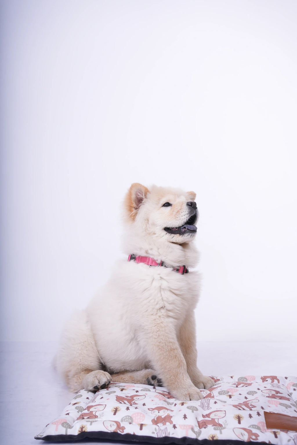 Thunder Tails 5-More-Minutes Dog Mats- Deer Print