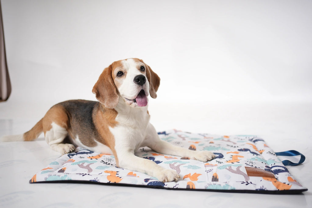 Thunder Tails 5-More-Minutes Dog Mats- Dinosaur Print