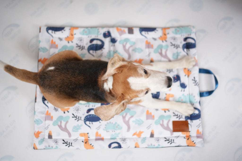 Thunder Tails 5-More-Minutes Dog Mats- Dinosaur Print