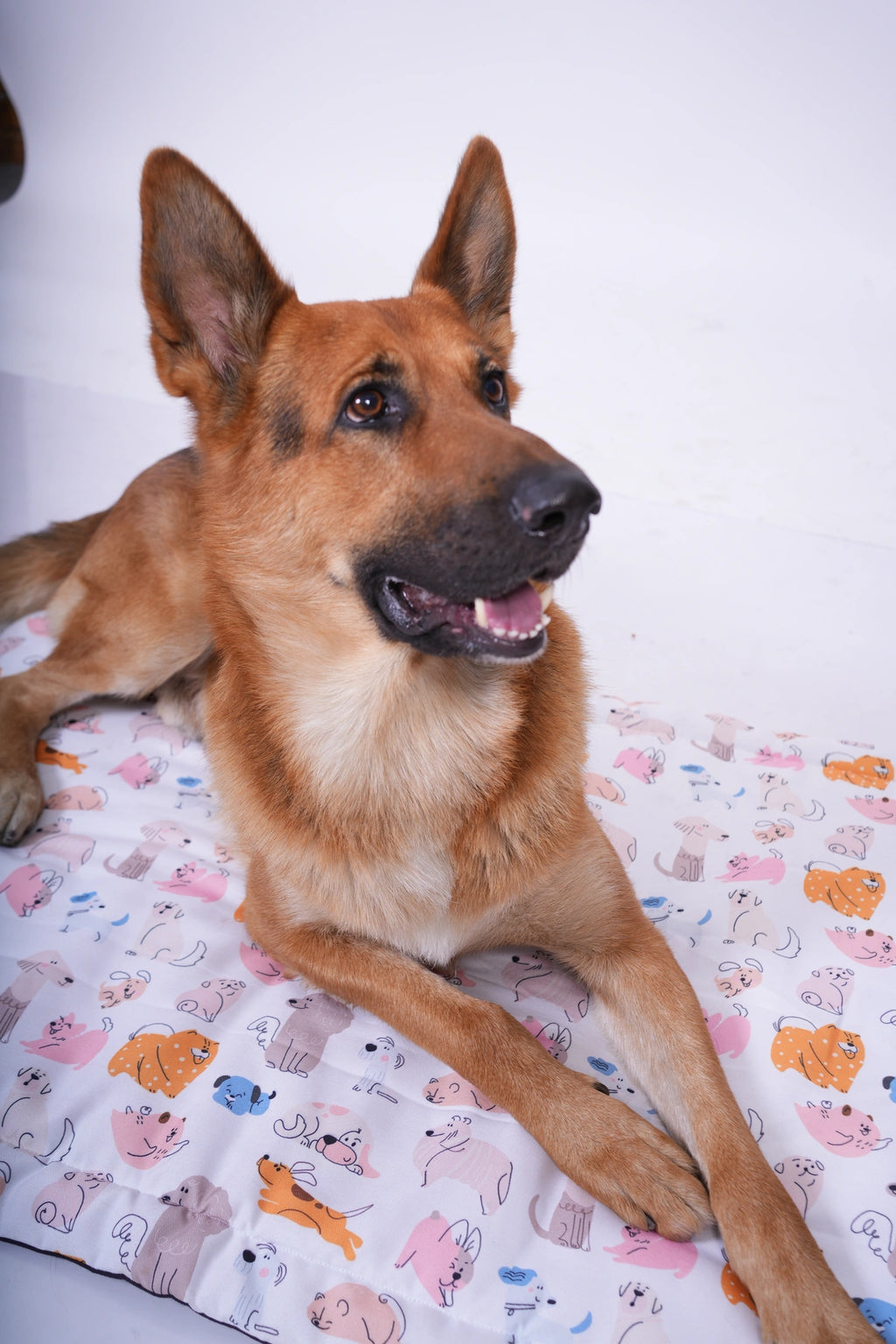 Thunder Tails 5-More-Minutes Dog Mats- Dog Print