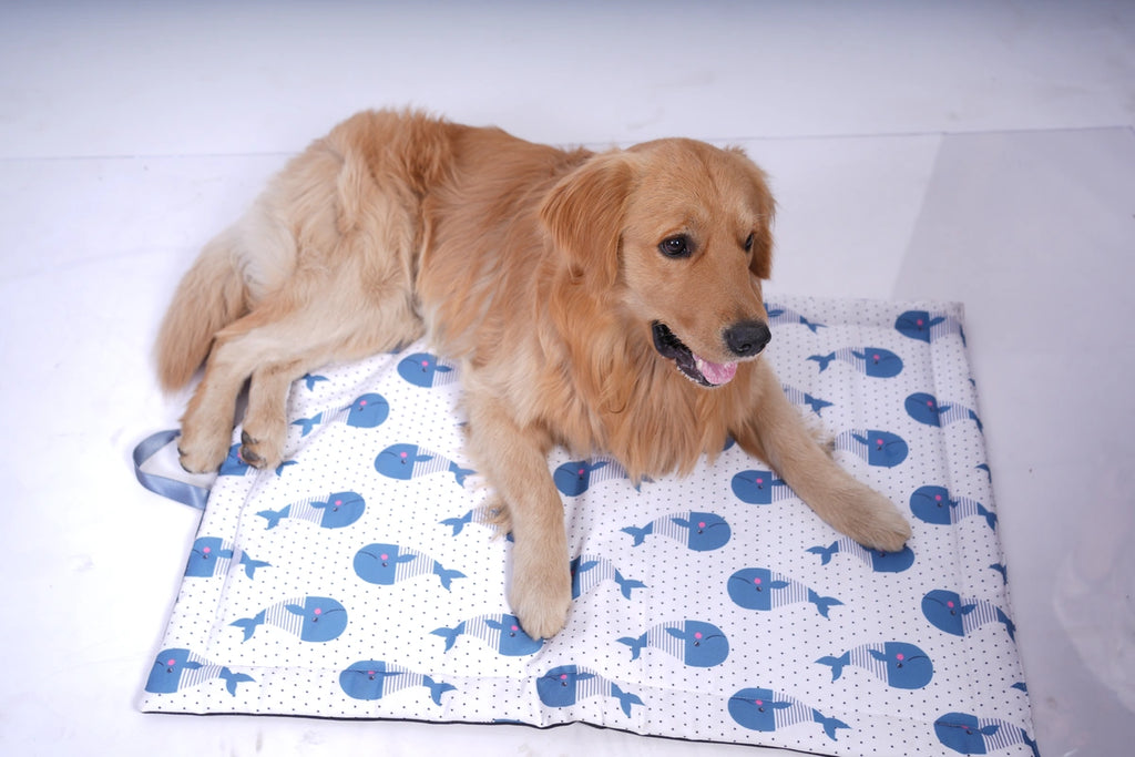 Thunder Tails 5-More-Minutes Dog Mats- Whale Print