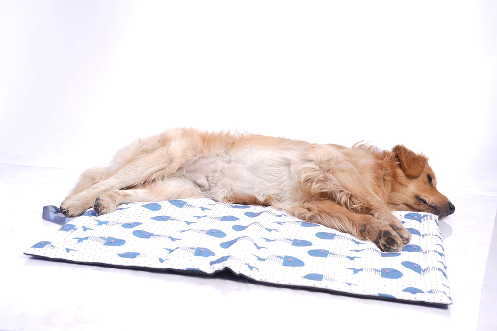 Thunder Tails 5-More-Minutes Dog Mats- Whale Print