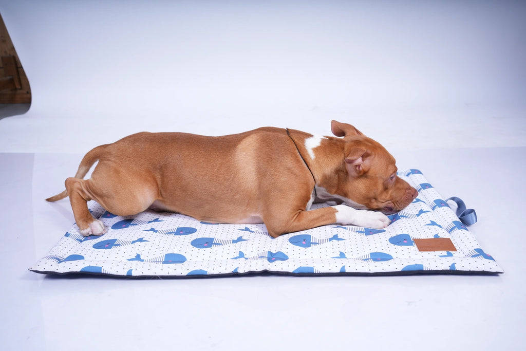 Thunder Tails 5-More-Minutes Dog Mats- Whale Print