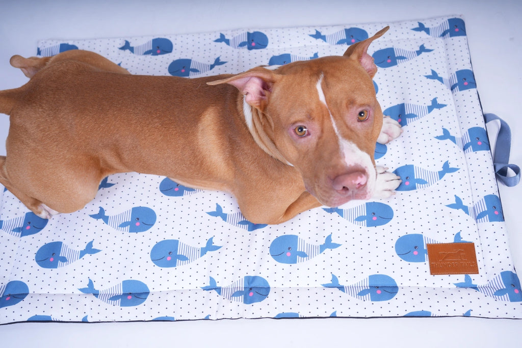 Thunder Tails 5-More-Minutes Dog Mats- Whale Print