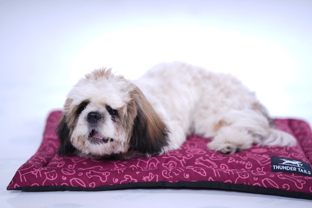 Thunder Tails 5-More-Minutes Dog Mats- Burgundy Doodle Print