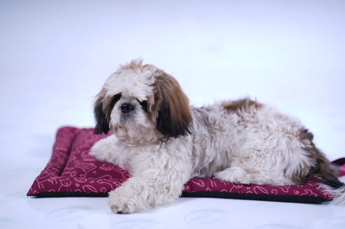 Thunder Tails 5-More-Minutes Dog Mats- Burgundy Doodle Print