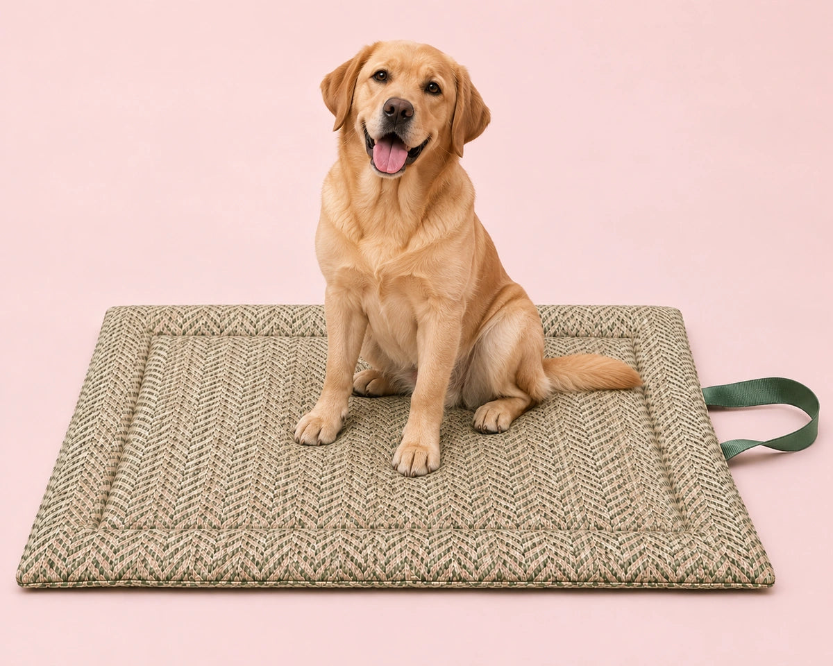 Thunder Tails GuardTech Dog Mats- Green Zig Zag Print