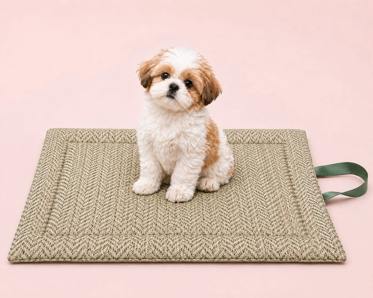 Thunder Tails GuardTech Dog Mats- Green Zig Zag Print