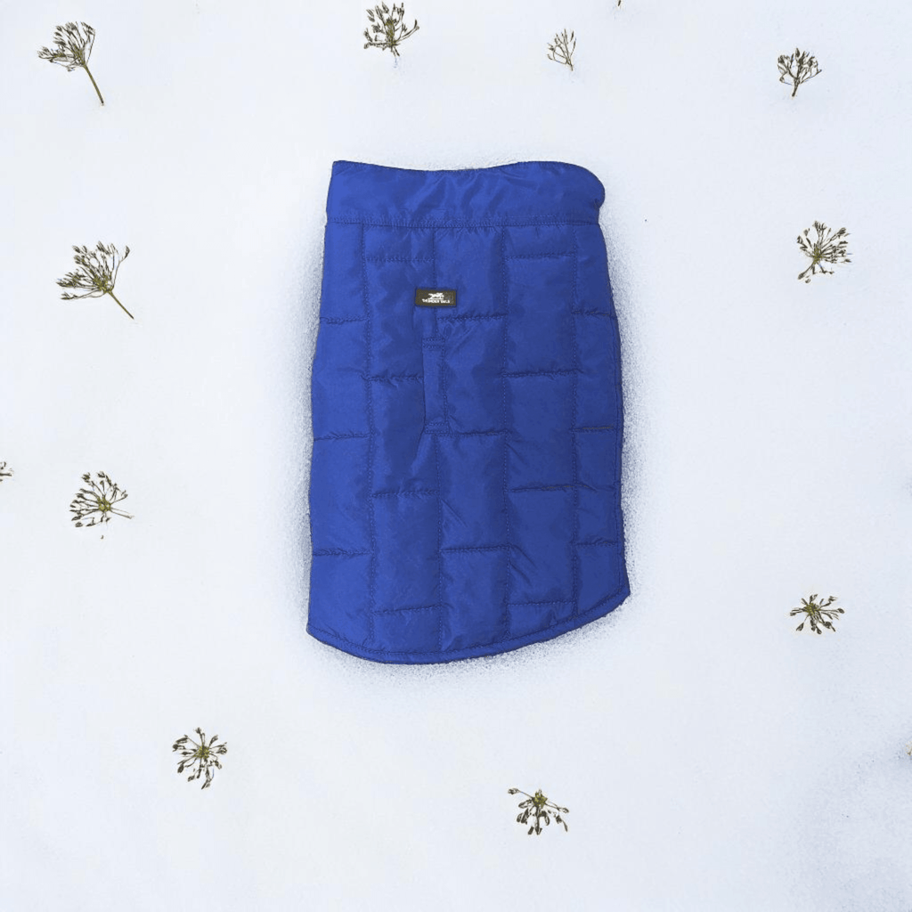 Thunder Tails Moonbrick Jacket- Royal Blue - Thunder Tails