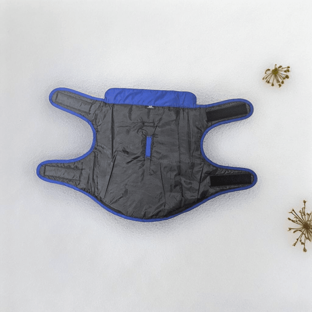 Thunder Tails Moonbrick Jacket- Royal Blue - Thunder Tails