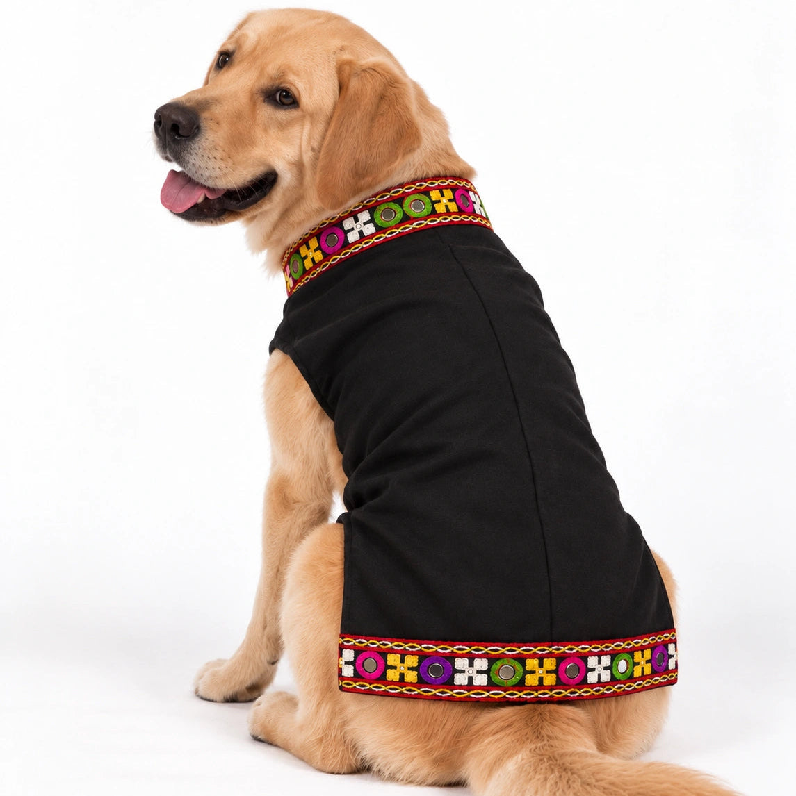 Thunder Tails Rang Rass Black Dog Sherwani