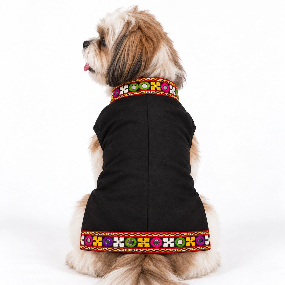 Thunder Tails Rang Rass Black Dog Sherwani