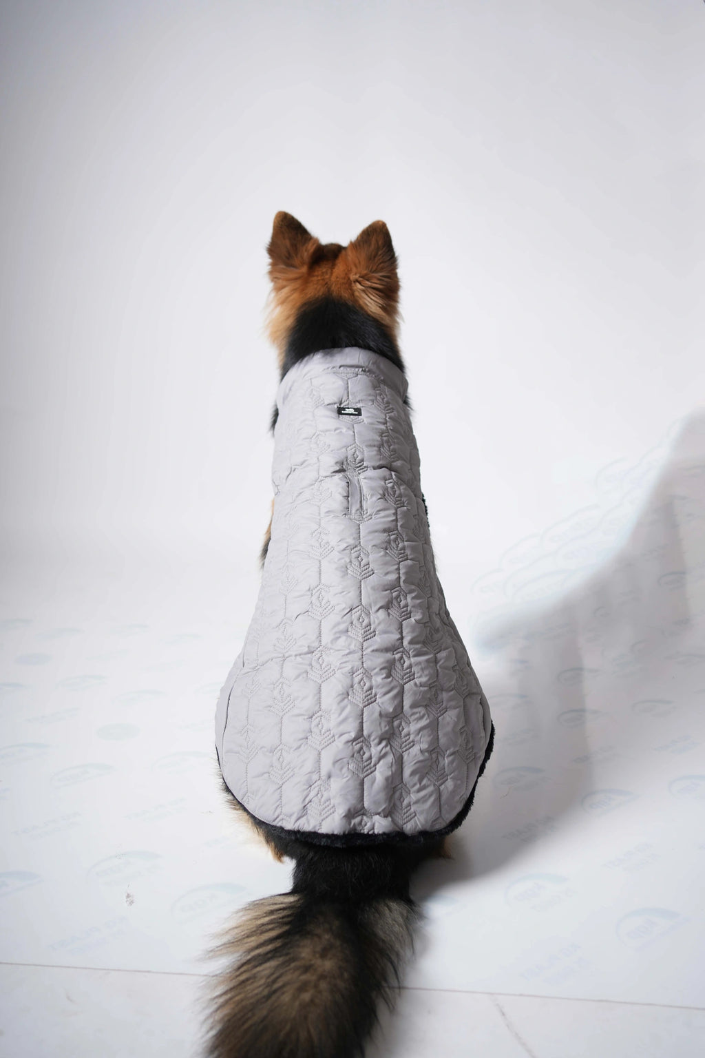 Thunder Tails Polar Fur Jacket- Grey