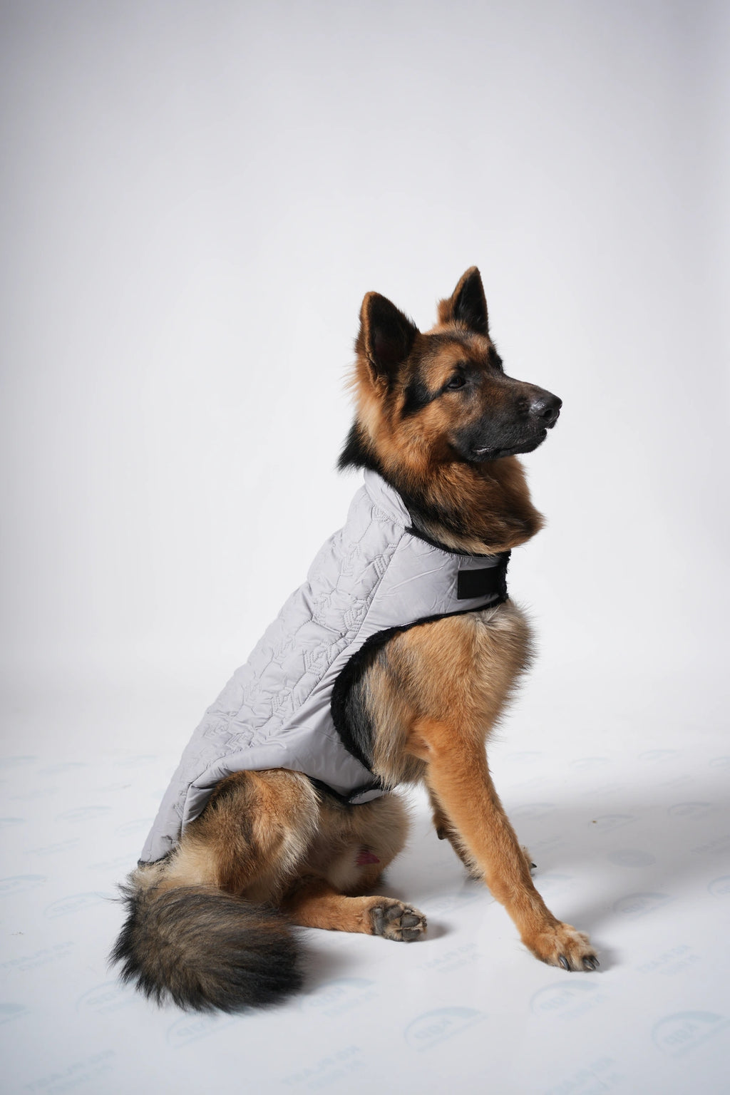 Thunder Tails Polar Fur Jacket- Grey