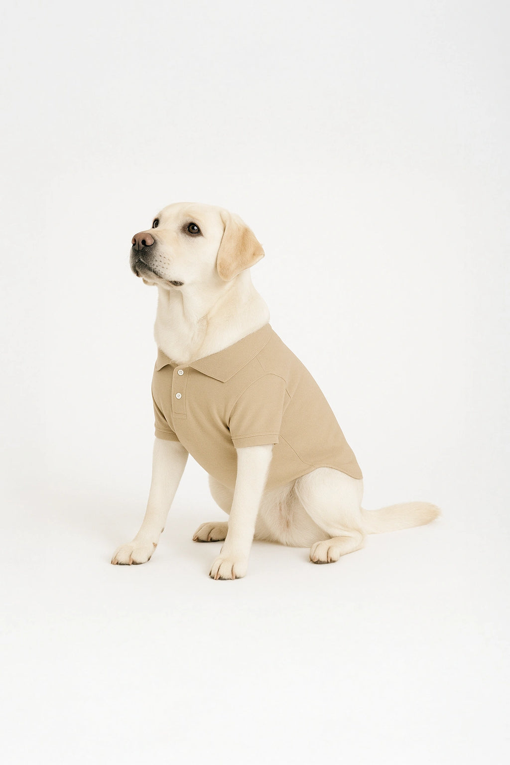 Thunder Tails Polo T-shirts - Beige