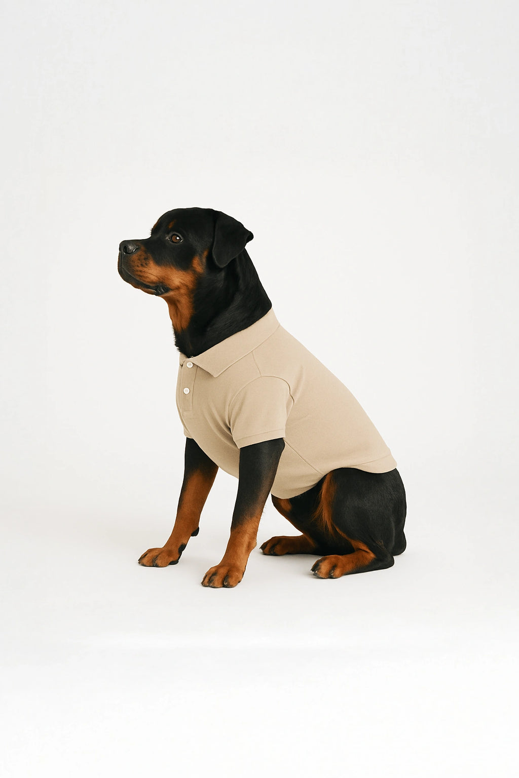 Thunder Tails Polo T-shirts - Beige