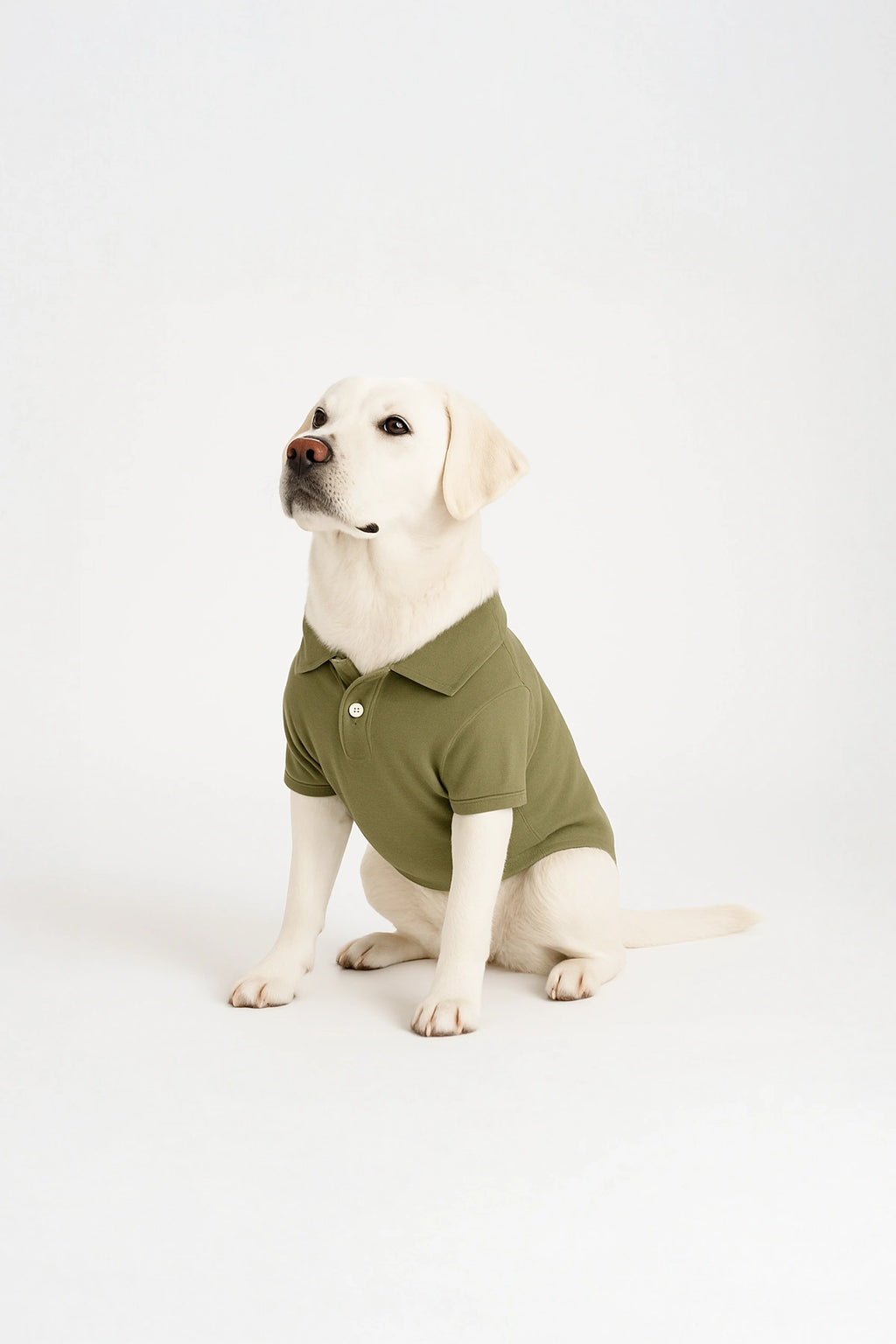 Thunder Tails Polo T-shirts - Olive