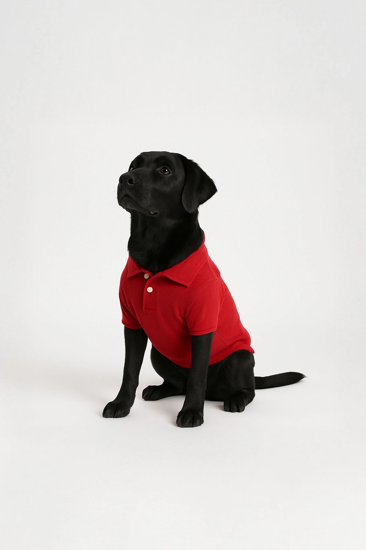 Thunder Tails Polo T-shirts - Red