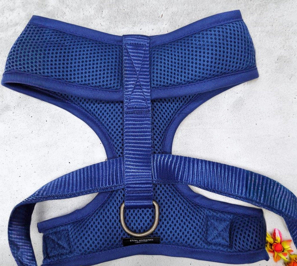 Thunder Tails Rain Or Shine Padded Mesh Harness- Blue - Thunder Tails