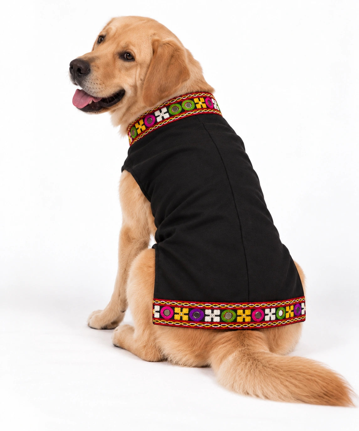 Thunder Tails Rang Rass Black Dog Sherwani