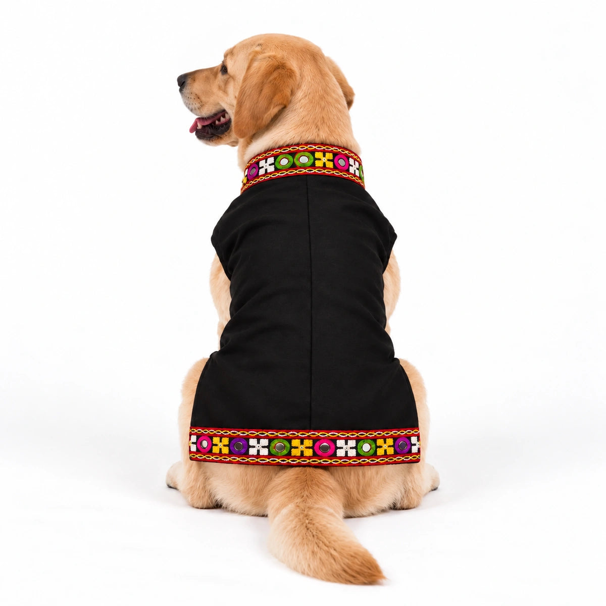 Thunder Tails Rang Rass Black Dog Sherwani