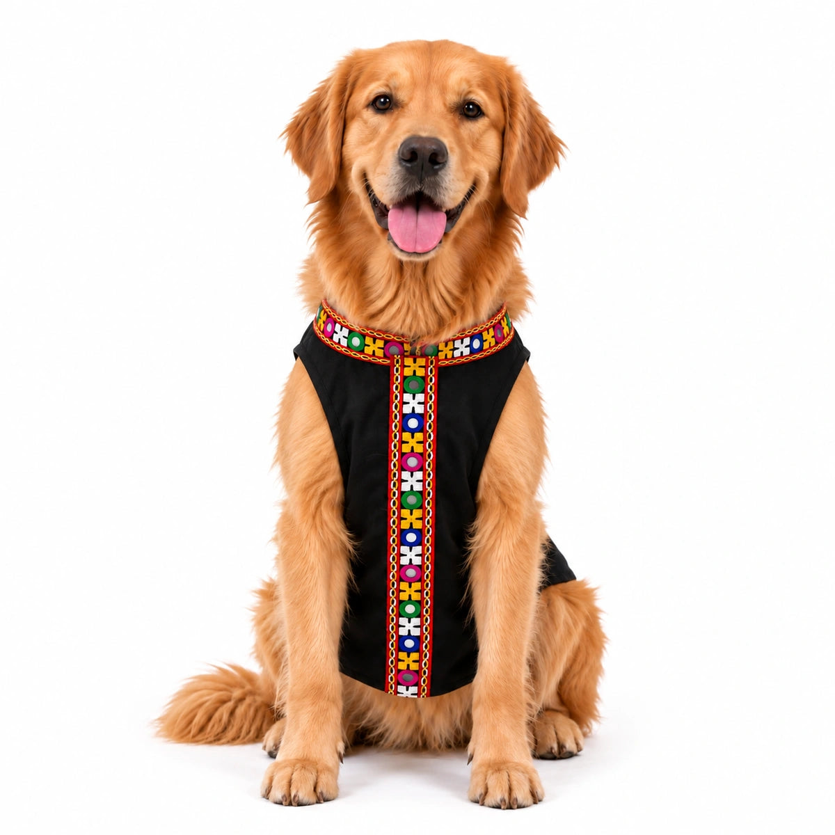 Thunder Tails Rang Rass Black Dog Sherwani