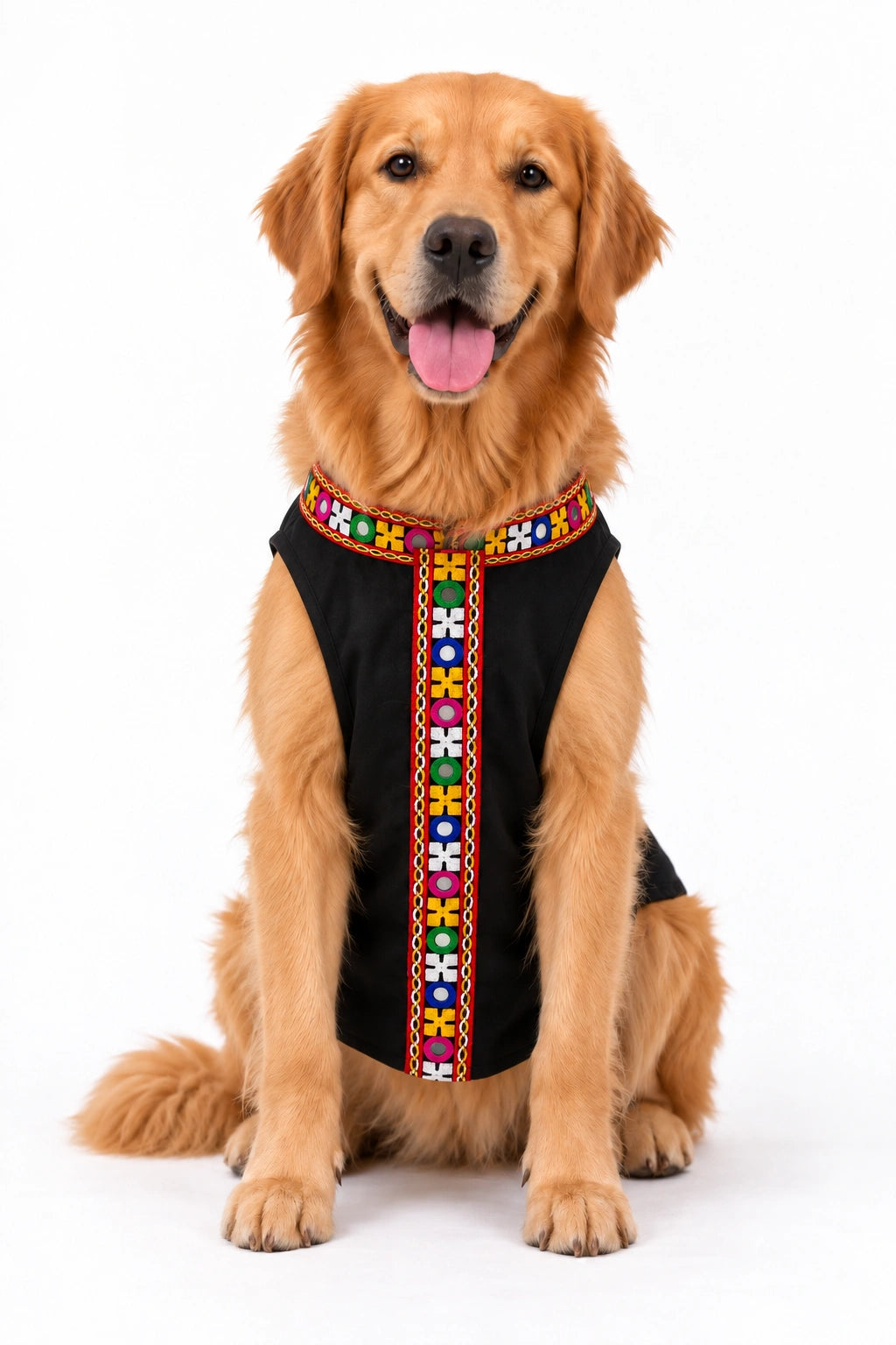 Thunder Tails Rang Rass Black Dog Sherwani