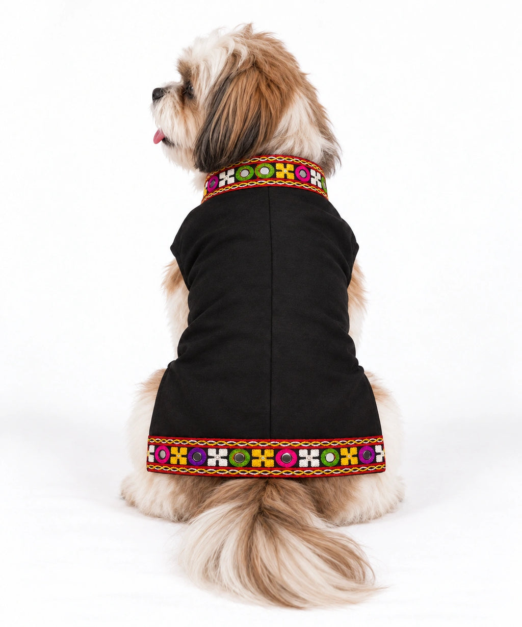 Thunder Tails Rang Rass Black Dog Sherwani