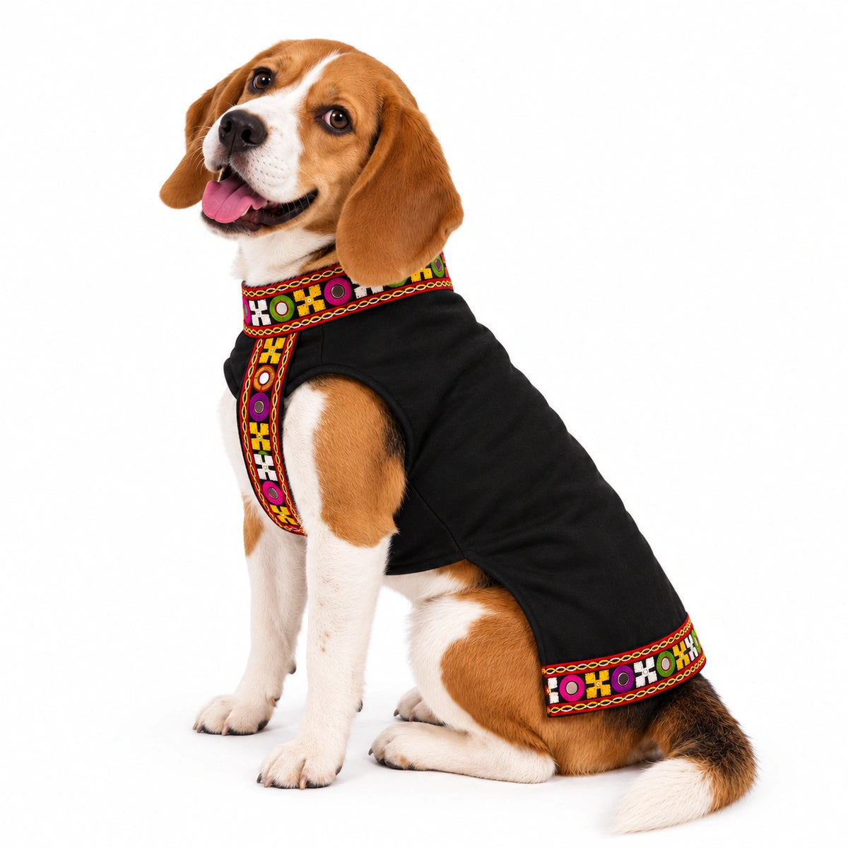 Thunder Tails Rang Rass Black Dog Sherwani