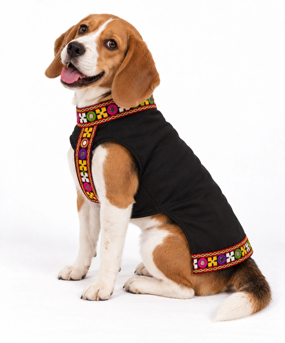 Thunder Tails Rang Rass Black Dog Sherwani