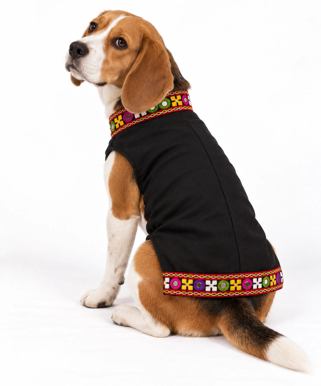 Thunder Tails Rang Rass Black Dog Sherwani