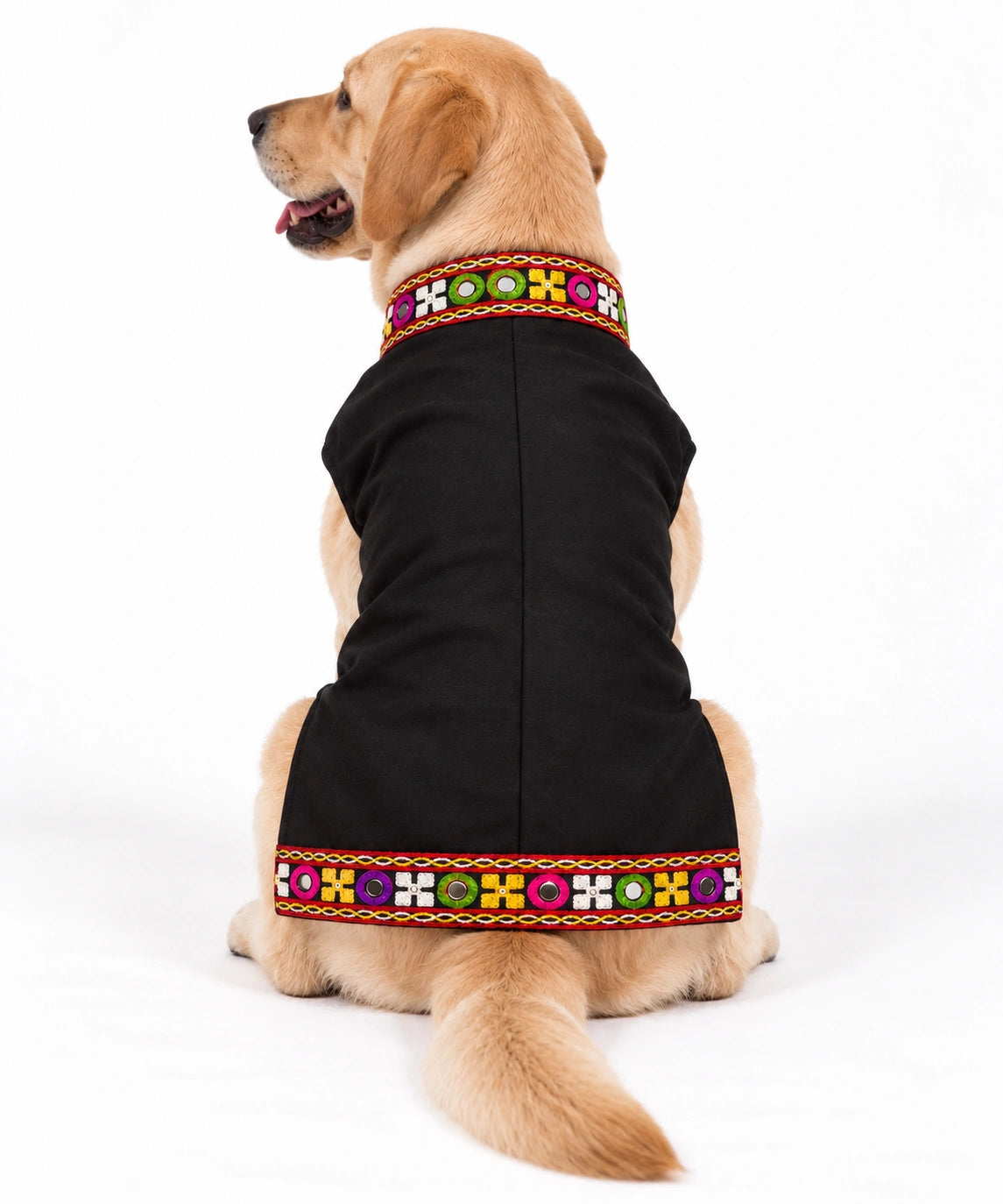 Thunder Tails Rang Rass Black Dog Sherwani