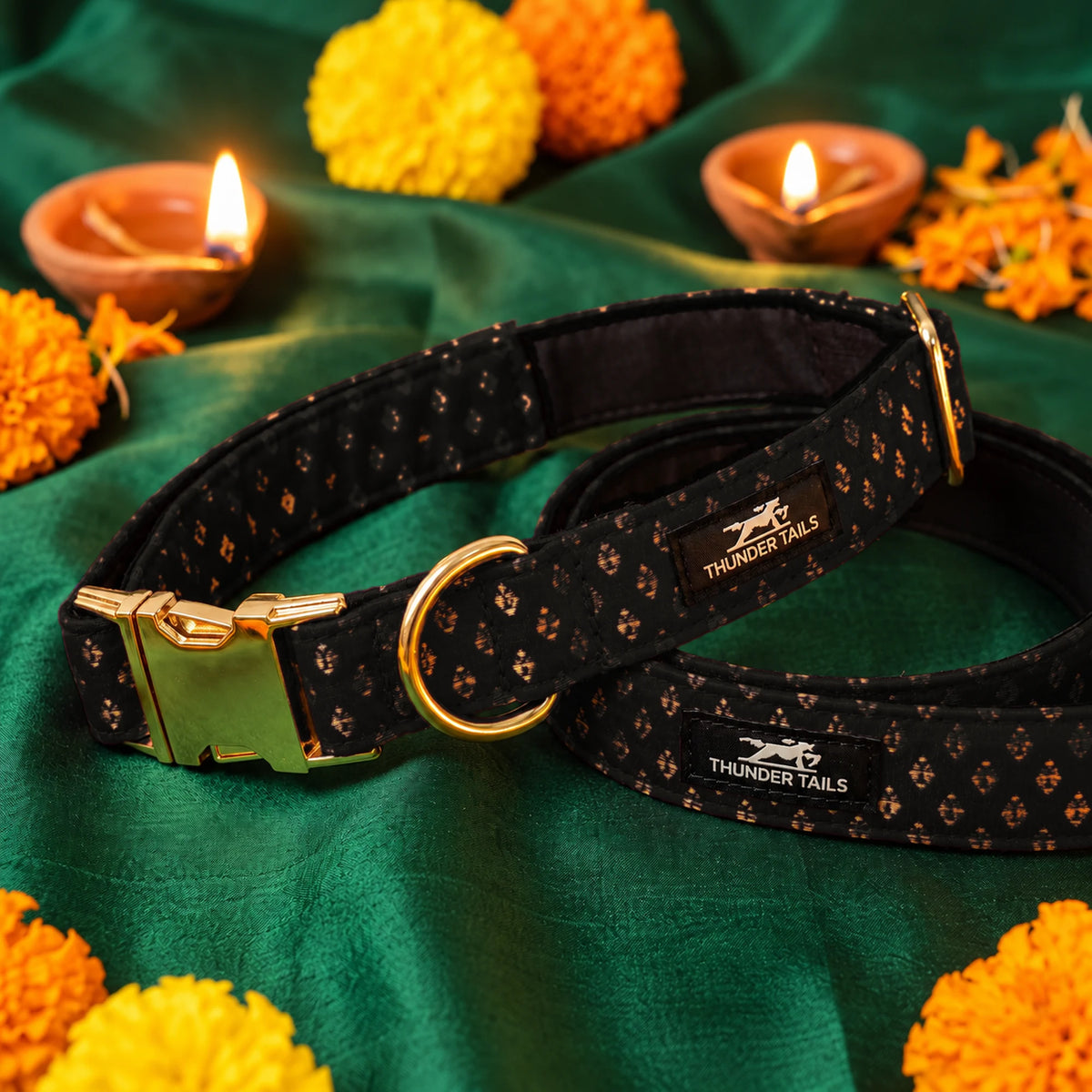 Thunder Tails Rangrez black brocade dog collar and leash set with gold buckle on festive Diwali backdrop
