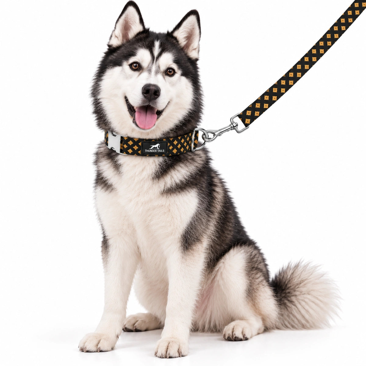 Thunder Tails Rangrez Collar + Leash Set - Black