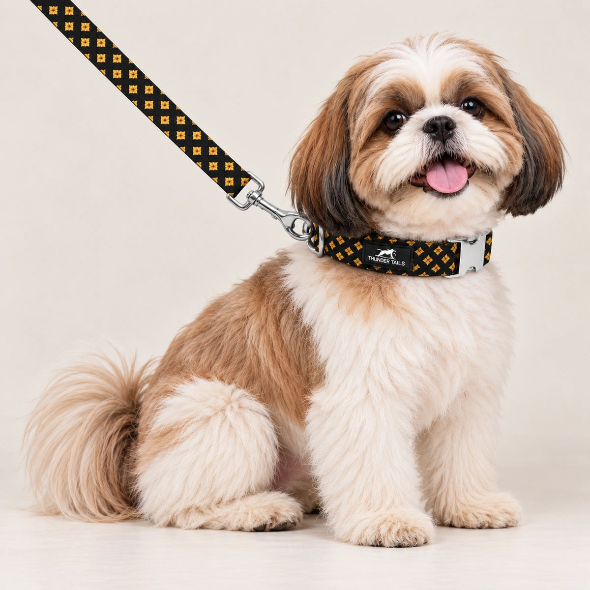 Thunder Tails Rangrez Collar + Leash Set - Black