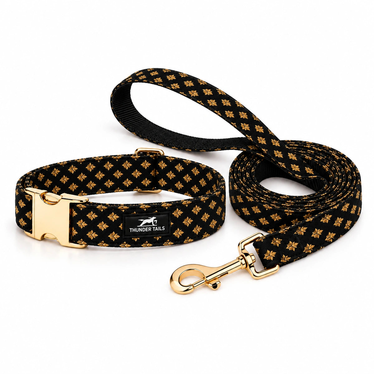 Thunder Tails Rangrez Collar + Leash Set - Black