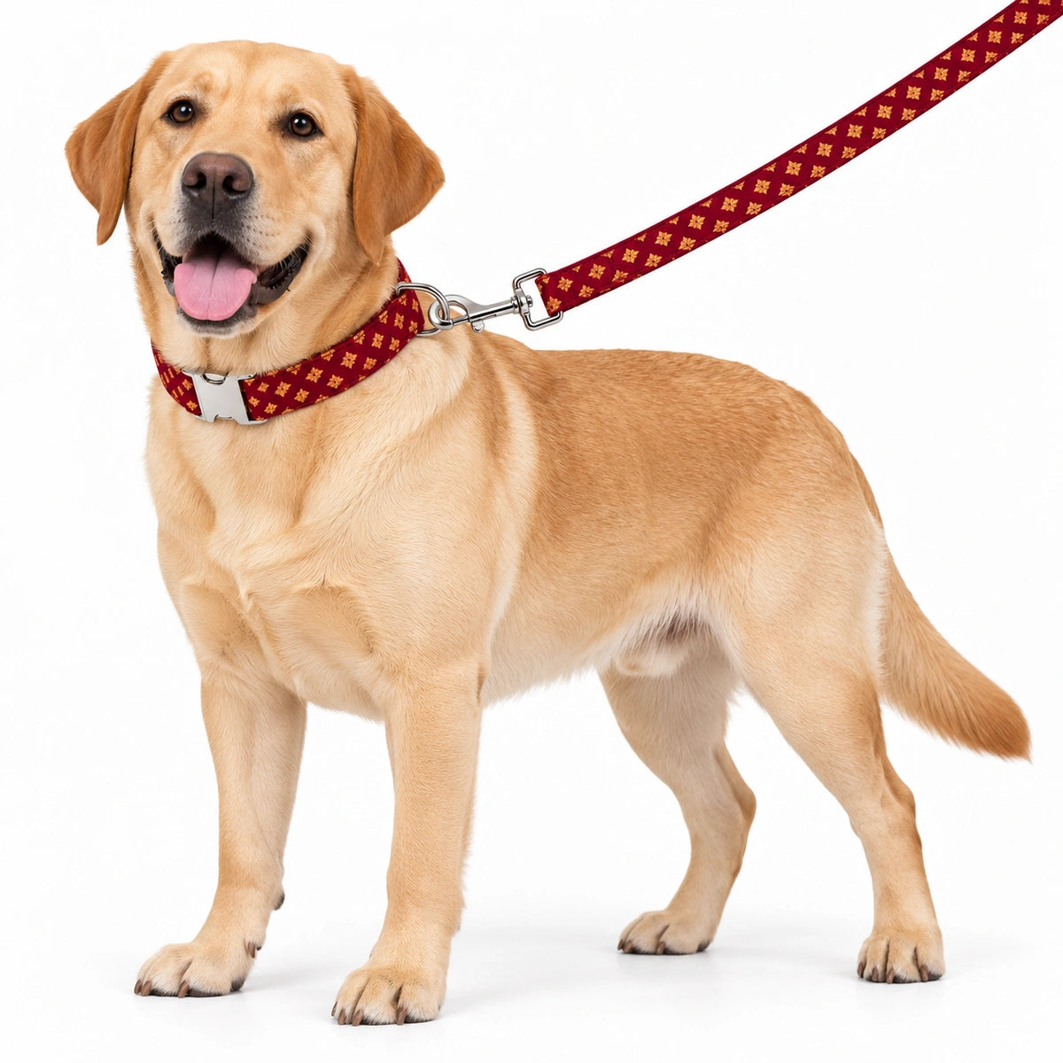 Thunder Tails Rangrez Collar + Leash Set - Maroon