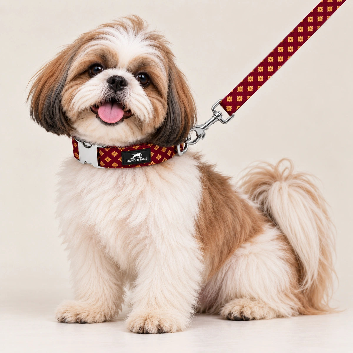 Thunder Tails Rangrez Collar + Leash Set - Maroon
