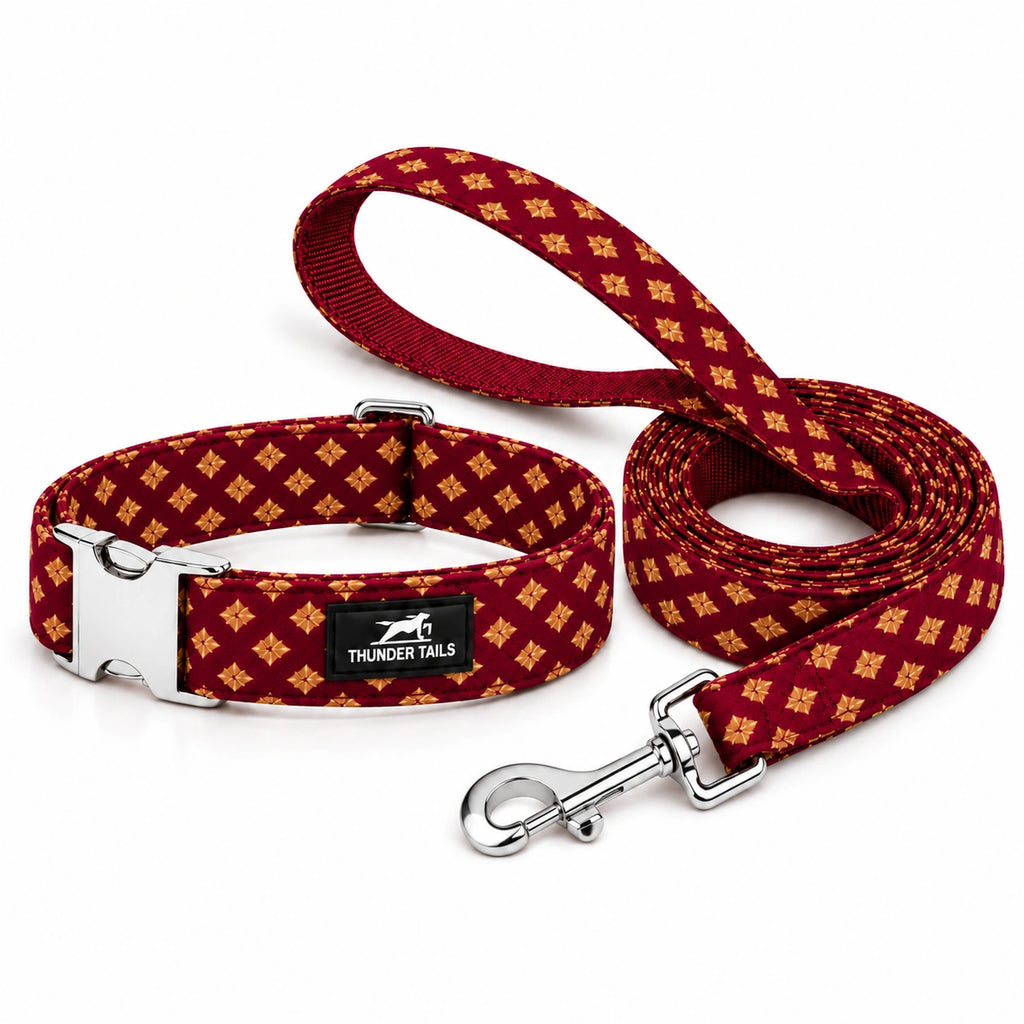 Thunder Tails Rangrez Collar + Leash Set - Maroon