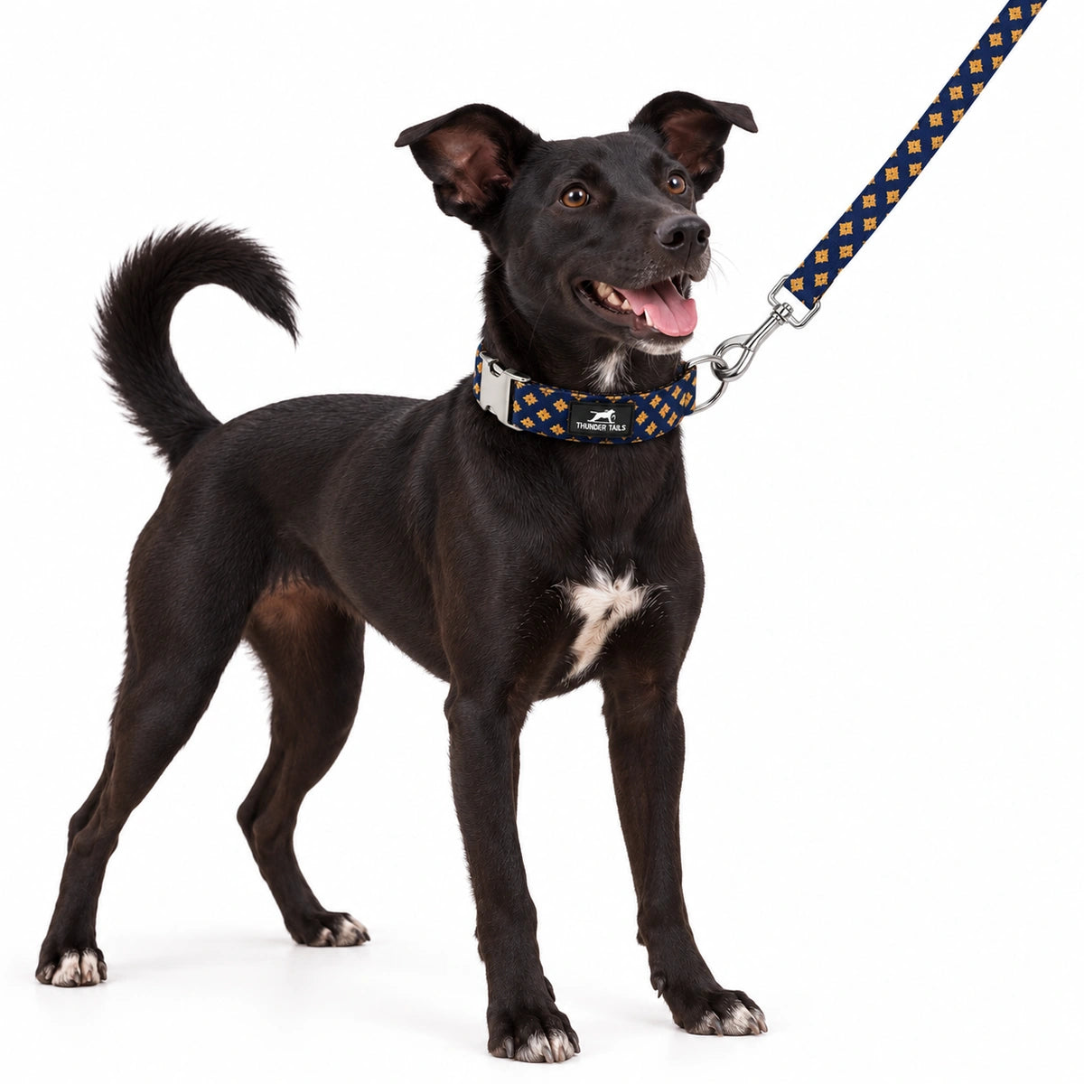 Thunder Tails Rangrez Collar + Leash Set - Navy