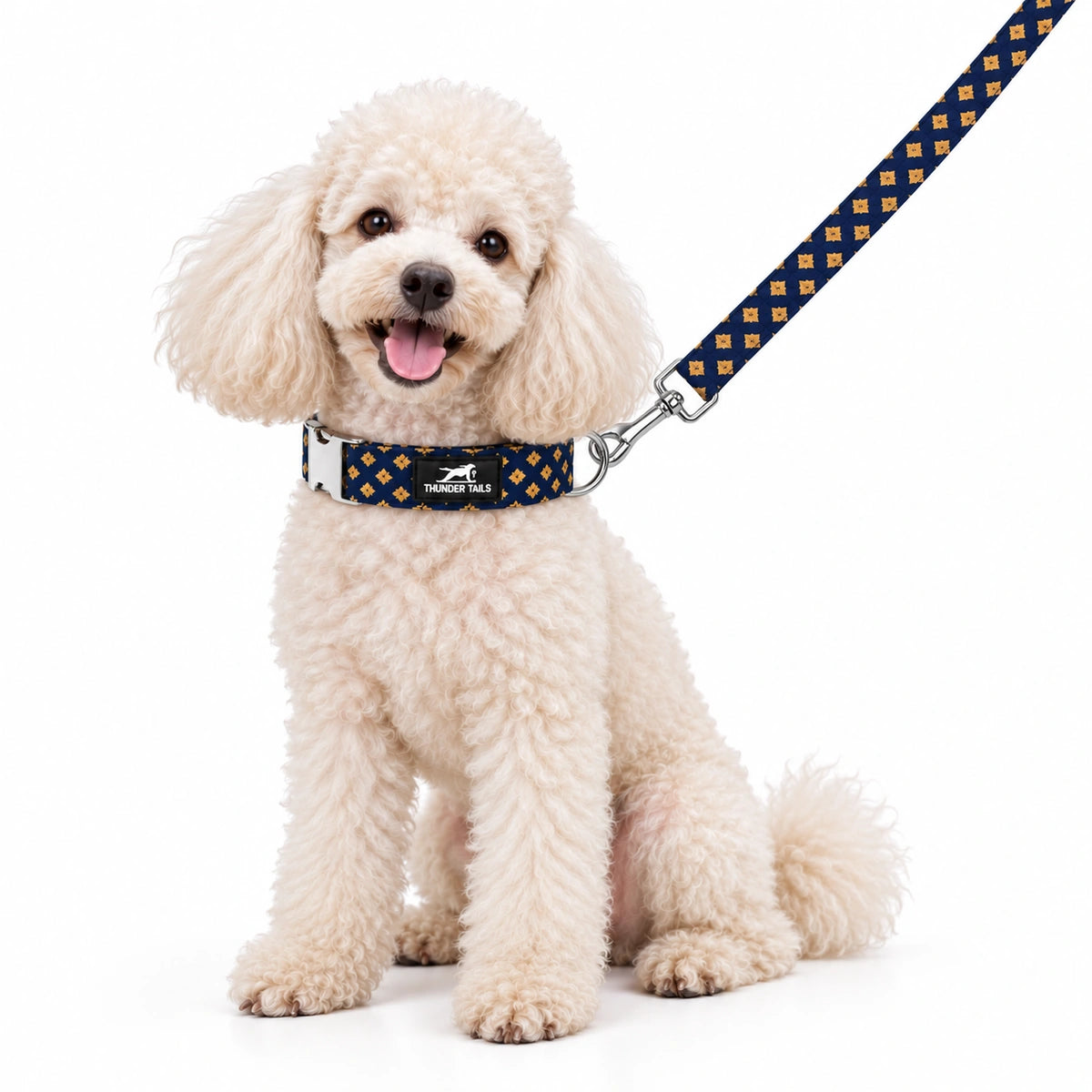 Thunder Tails Rangrez Collar + Leash Set - Navy