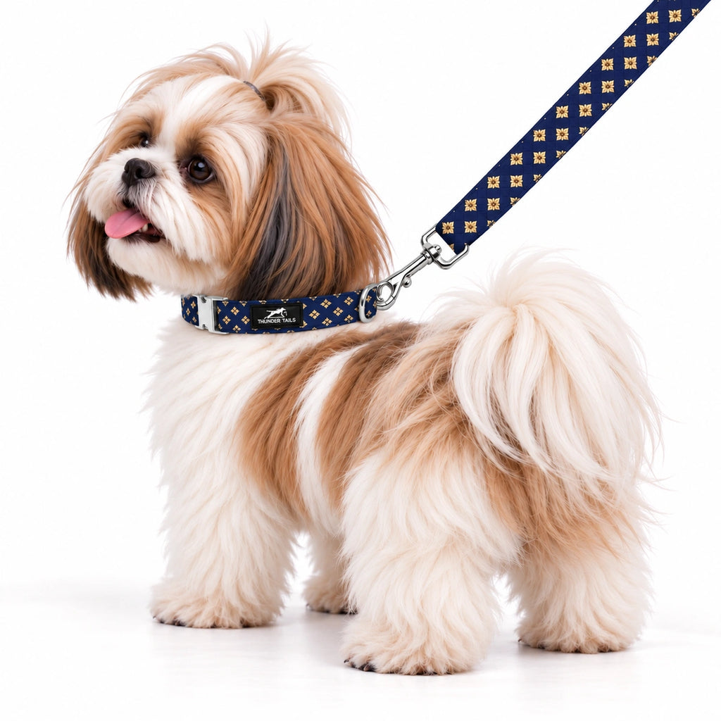 Thunder Tails Rangrez Collar + Leash Set - Navy