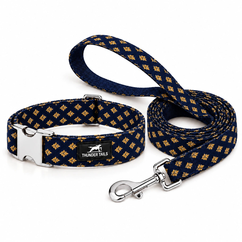 Thunder Tails Rangrez Collar + Leash Set - Navy