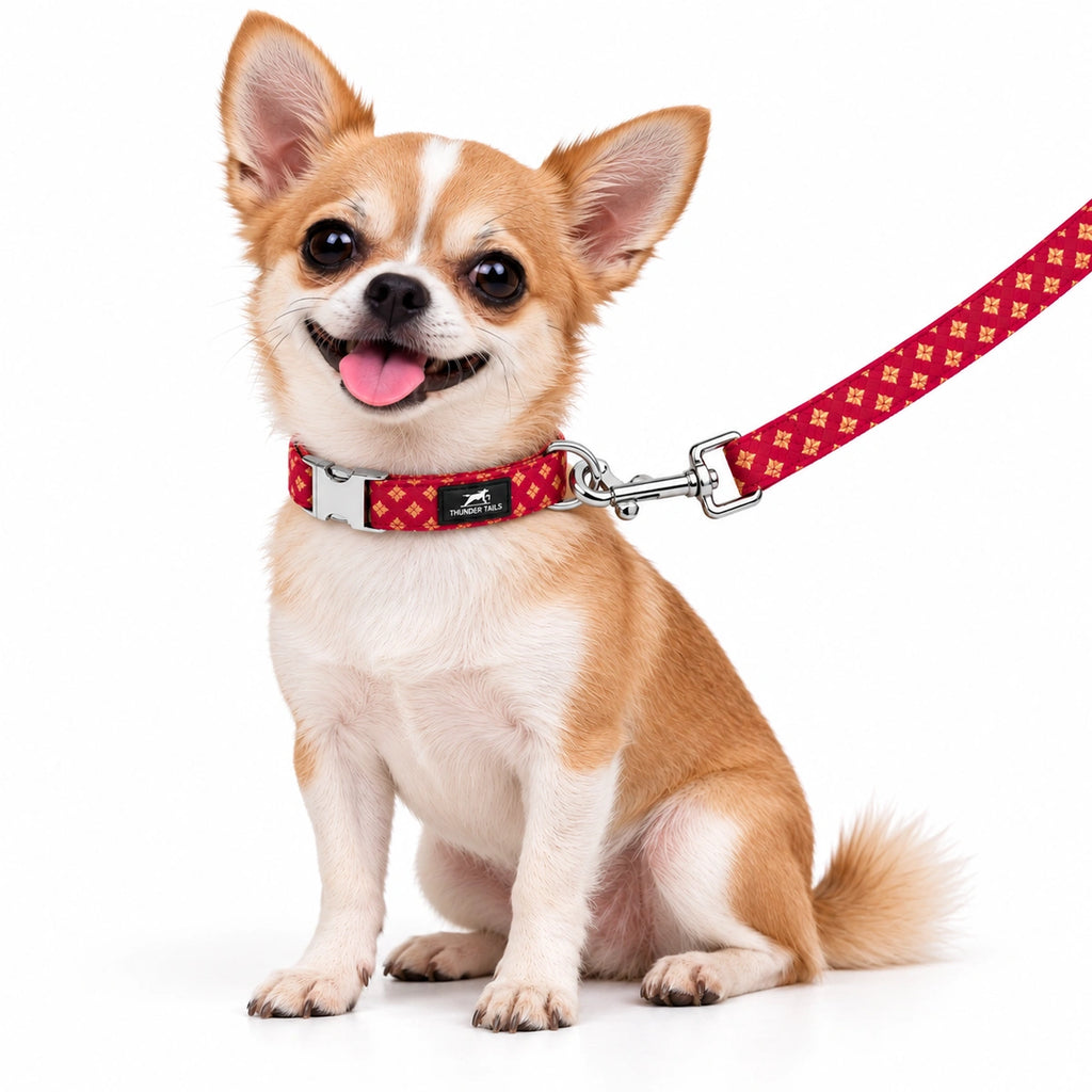 Thunder Tails Rangrez Collar + Leash Set - Pink