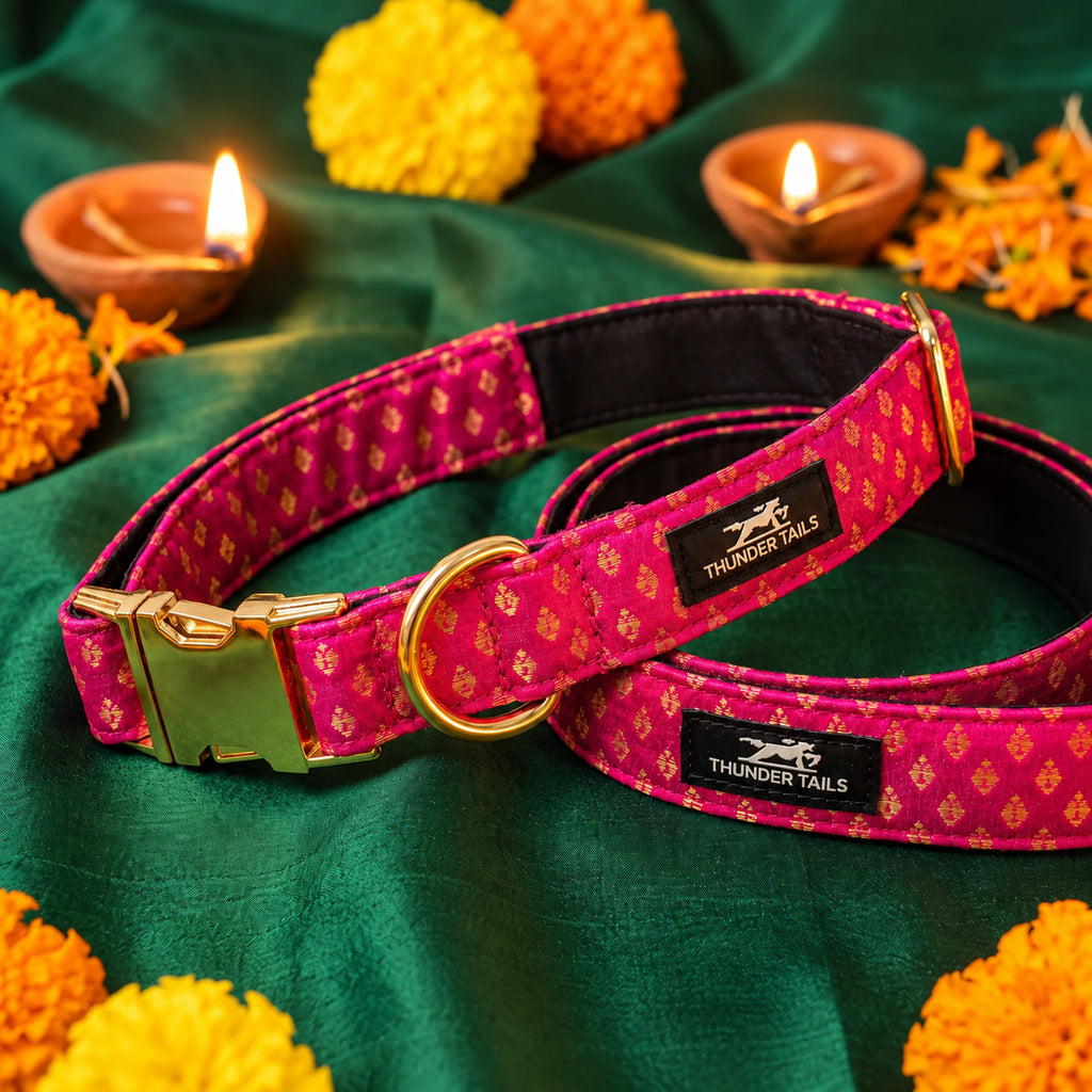 Thunder Tails Rangrez pink brocade dog collar and leash set with gold buckle on festive Diwali backdrop