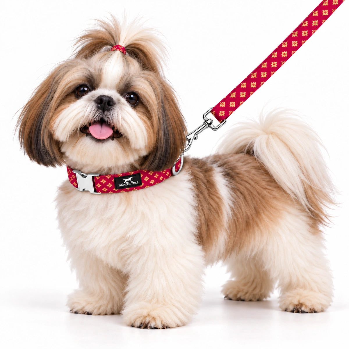 Thunder Tails Rangrez Collar + Leash Set - Pink