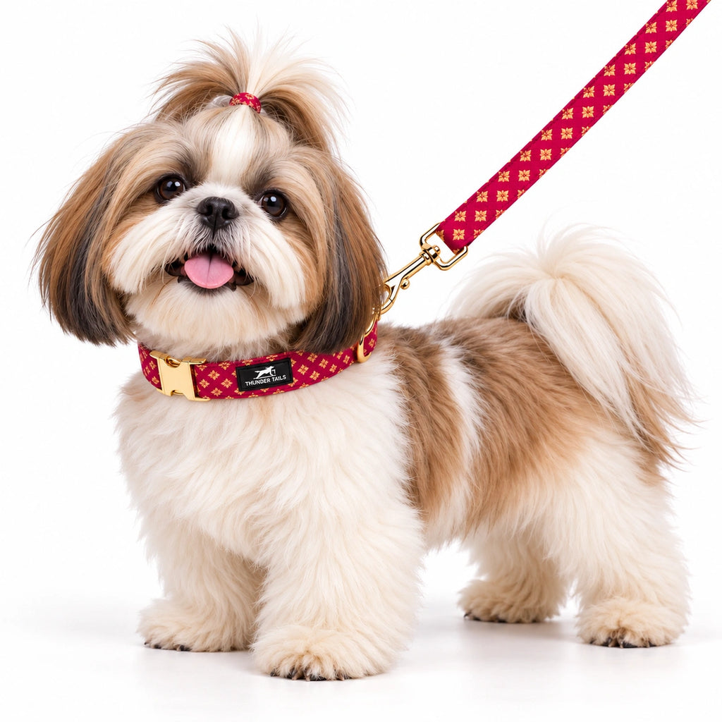 Thunder Tails Rangrez Collar + Leash Set - Pink