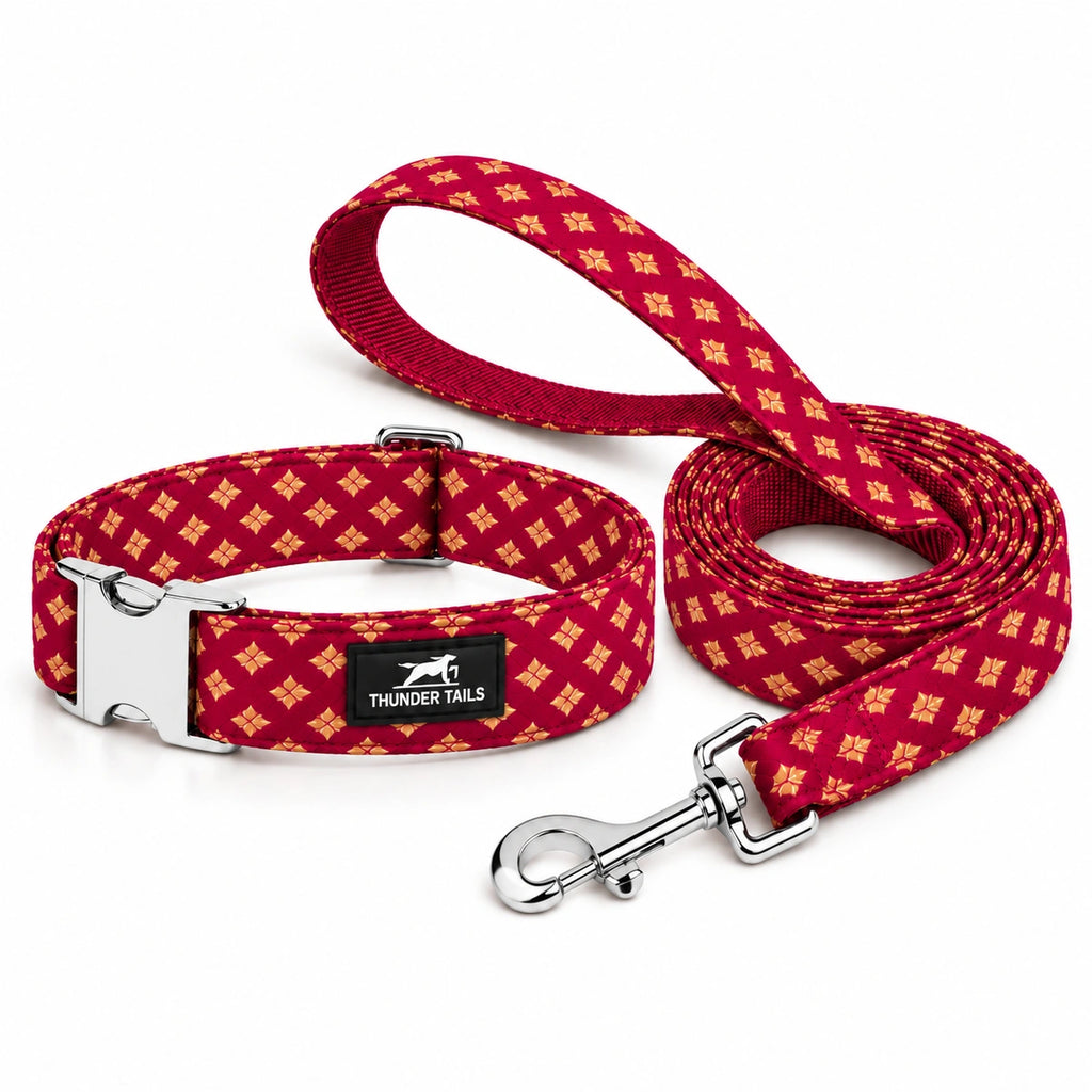 Thunder Tails Rangrez Collar + Leash Set - Pink