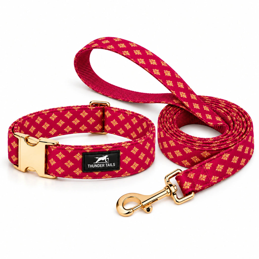 Thunder Tails Rangrez Collar + Leash Set - Pink