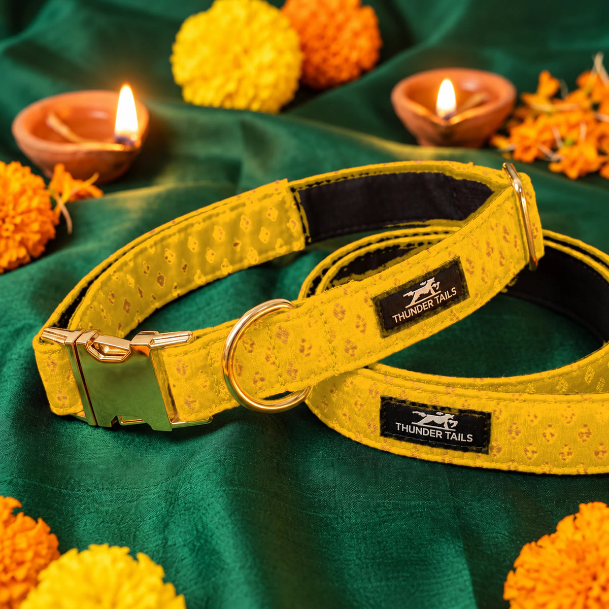 Thunder Tails Rangrez yellow brocade dog collar and leash set with gold buckle on festive Diwali backdrop